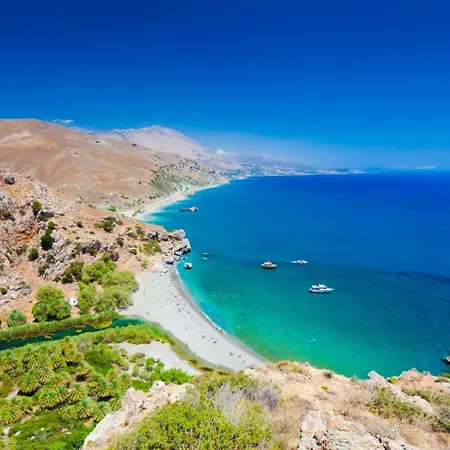 White Oak Tree * Rethymno (Crete)