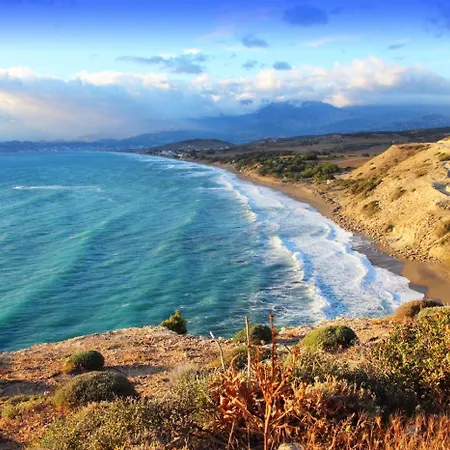 White Oak Tree Rethymno