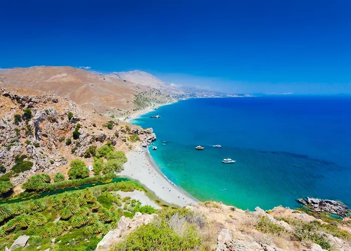 White Oak Tree * Rethymno (Crete)