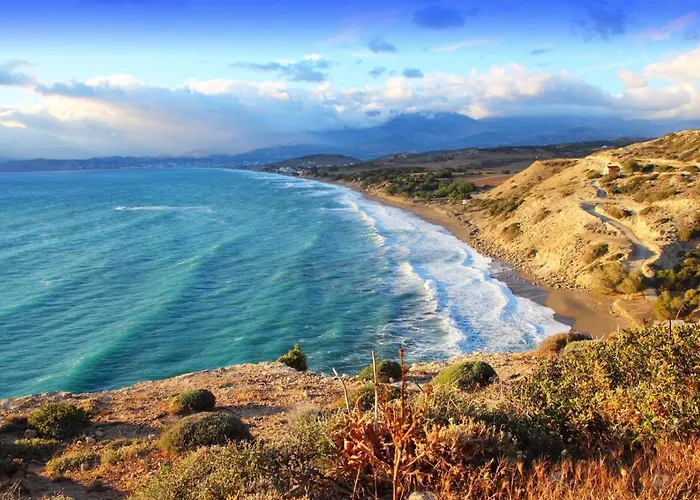 White Oak Tree Rethymno (Crete)